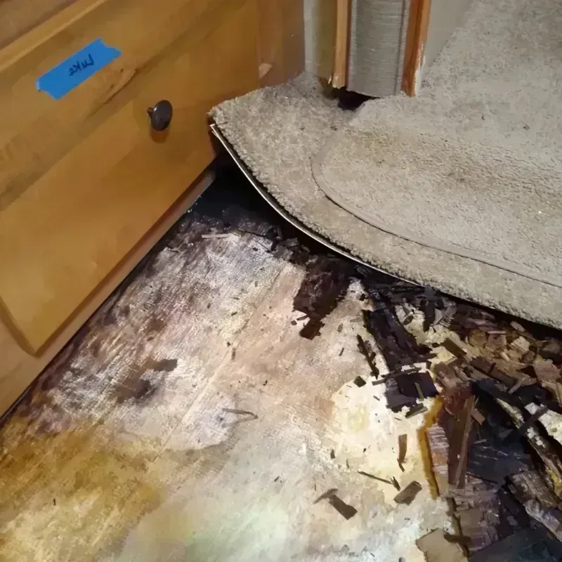 Wood Floor Water Damage in Redland, MD